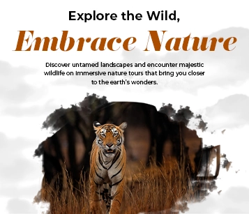 Nature and Wildlife Tours